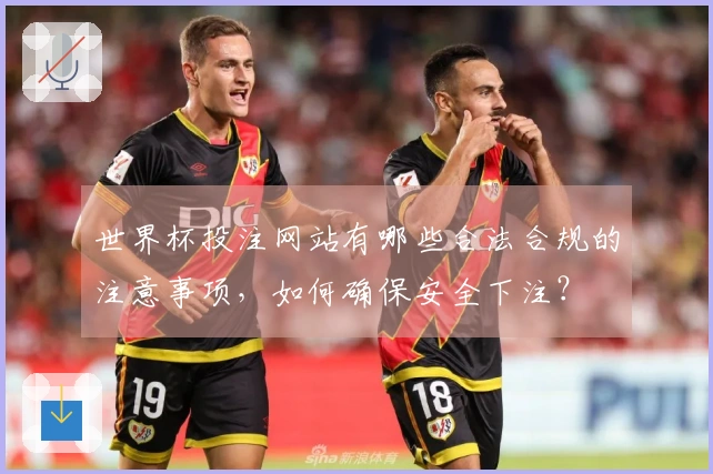 世界杯投注网站有哪些合法合规的注意事项,如何确保安全下注?