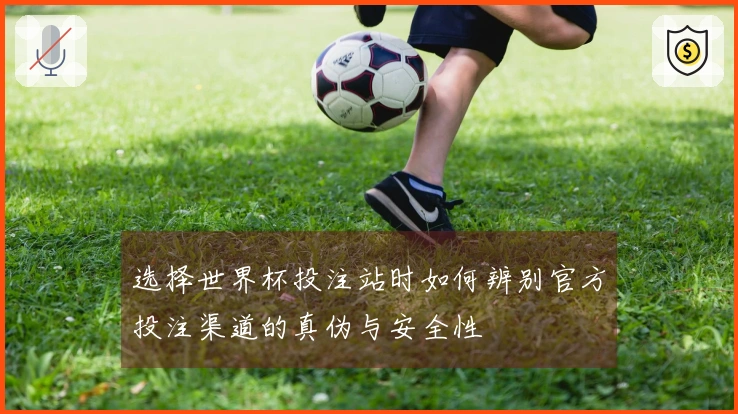 选择世界杯投注站时如何辨别官方投注渠道的真伪与安全性
