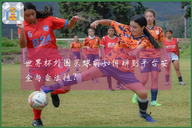世界杯外围买球前如何辨别平台安全与合法性？
