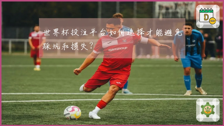 世界杯投注平台如何选择才能避免踩坑和损失？